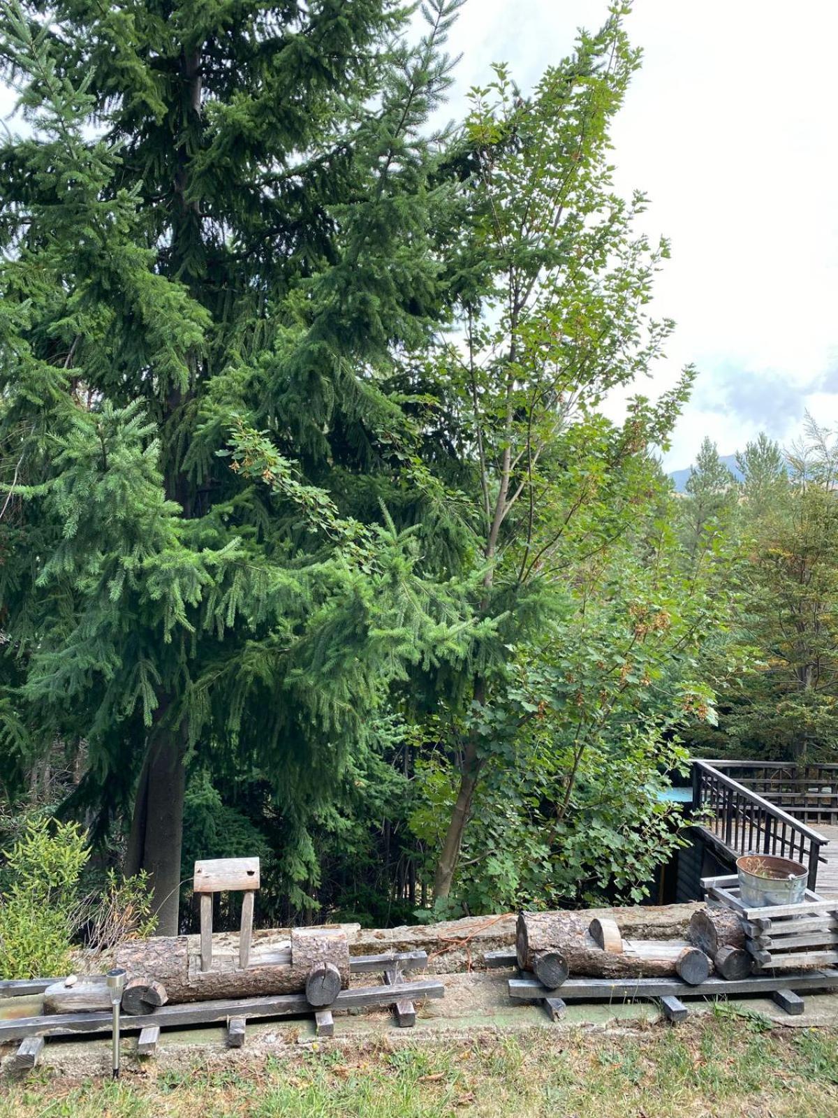 The Patagonian Lodge Coyhaique Exterior photo