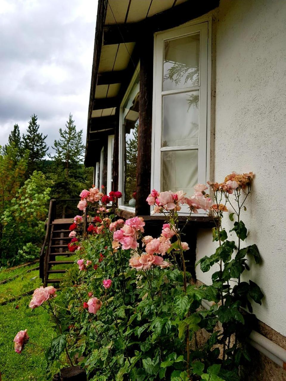 The Patagonian Lodge Coyhaique Exterior photo